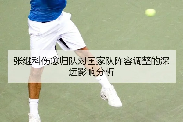 张继科伤愈归队对国家队阵容调整的深远影响分析