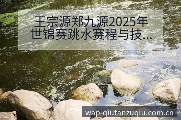王宗源郑九源2025年世锦赛跳水赛程与技术特点数据对比分 - 即时比分